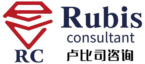 上海卢比司企业管理咨询 专业服务助力企业卓越发展