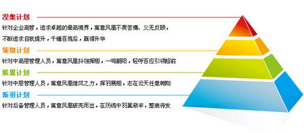 碧桂园集团 领导力发展项目